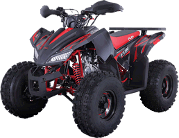 Motos  Buggy&Cia